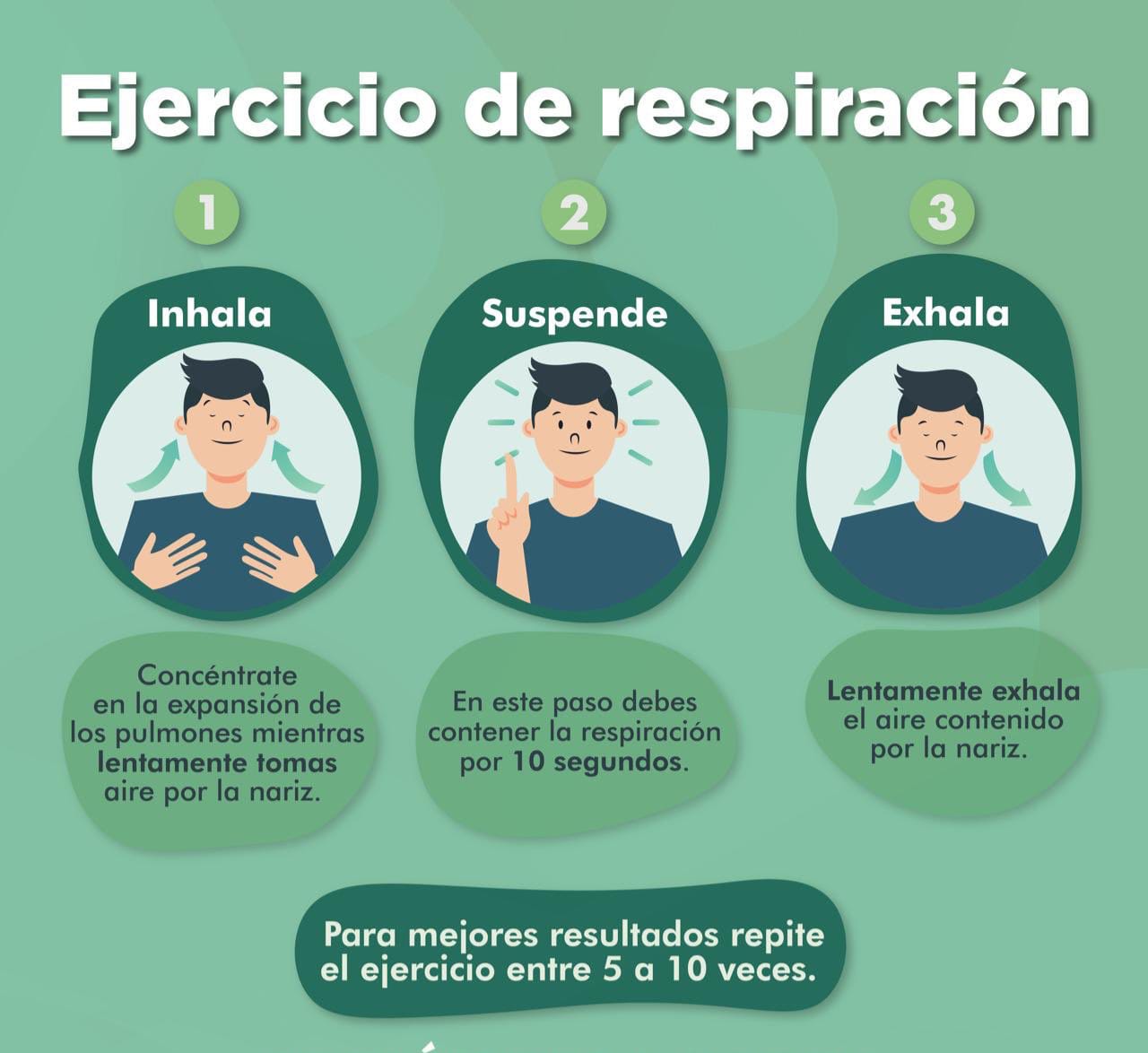 Visualización guiada